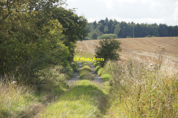 Photo 6"x4" Track at Innernyte Cargill c2014