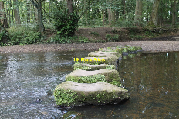Photo 6"x4" The Wortley Leppings Green Moor\/SK2899 c2014