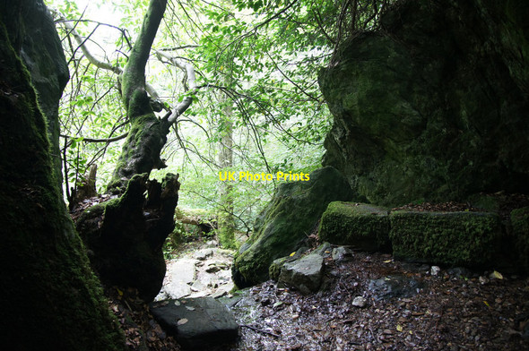 Photo 6"x4" Looking out from the Duchess's cave, Dunkeld Inver\/NO0142 c2014