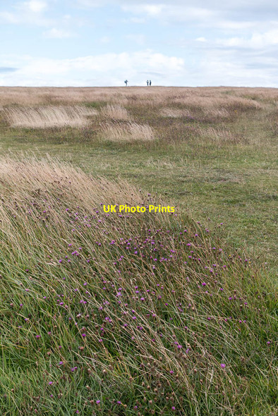Photo 6"x4" On the Edge, Beachy Head, Sussex Meads\/TV6097 c2014