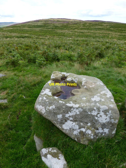 Photo 6"x4" Cup and ring marked boulder on Birky Hill Rothbury c2014
