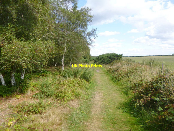 Photo 6"x4" Knighton Heath, track Blacknoll c2014