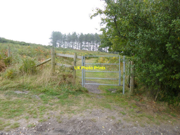 Photo 6"x4" Blacknoll, gate Blacknoll c2014