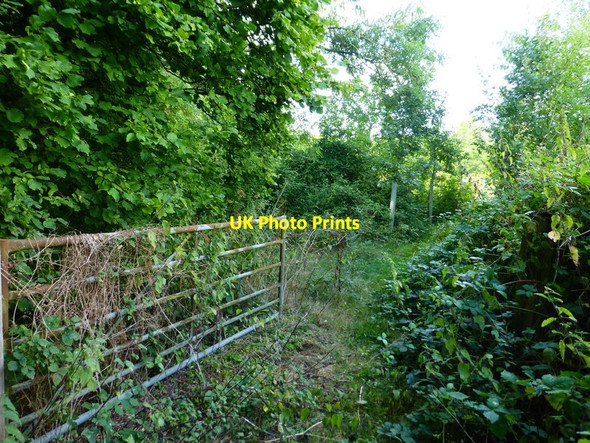 Photo 6"x4" Gate on bridleway between Fincham's and Clay's Copses Hillside\/SU7550 c2014
