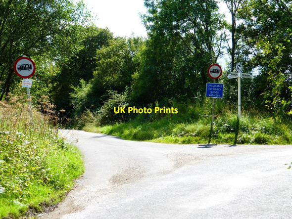 Photo 6"x4" Junction of lanes on Rye Common (2) Hillside\/SU7550 c2014