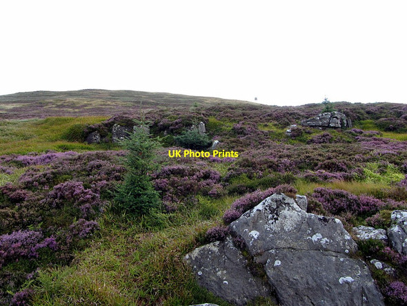 Photo 6"x4" Deadwater Fell above Bore Stone Kielder c2014