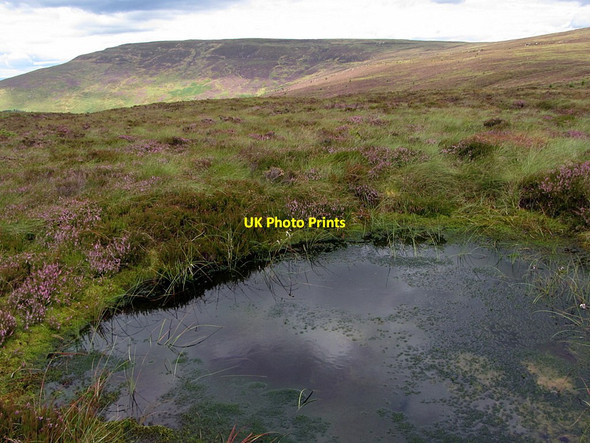 Photo 6"x4" Pool, Deadwater Moor Kielder c2014