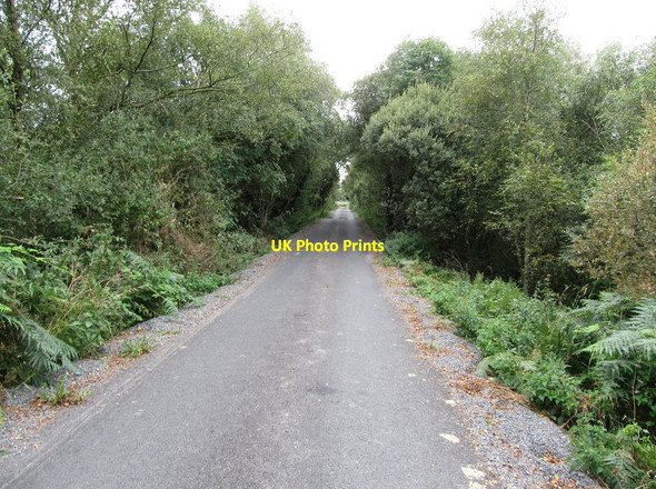 Photo 6"x4" Causeway like section of  the High Road Ballyroney c2014