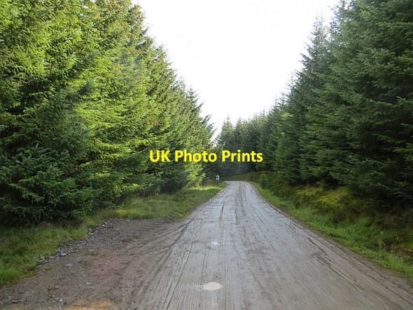 Photo 6"x4" Road, Griffin Forest Meall an Lochain\/NN8845 c2014