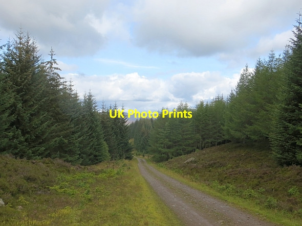 Photo 6"x4" Road, Griffin Forest Loch Kennard c2014