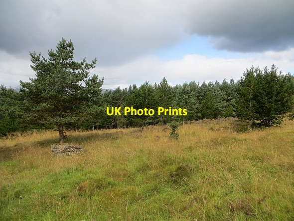 Photo 6"x4" Clearing, Griffin Forest Cultullich Burn c2014