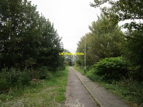 Photo 6"x4" Poorhouse Lane Marfleet c2014