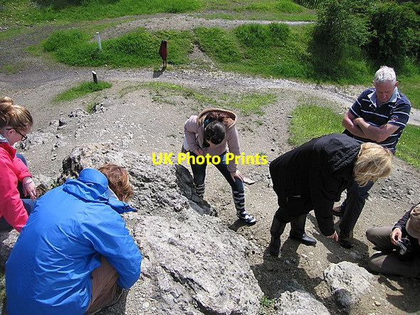 Photo 6"x4" Looking for fossilised corals, Wren's Nest Dudley\/SO9390 c2014