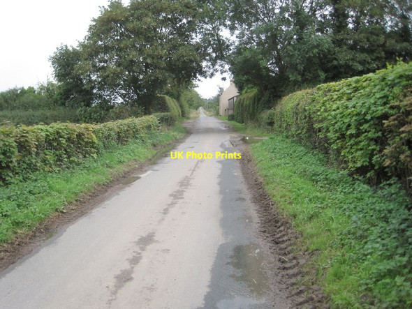 Photo 6"x4" Moor Lane looking towards Bilbrough Catterton c2014