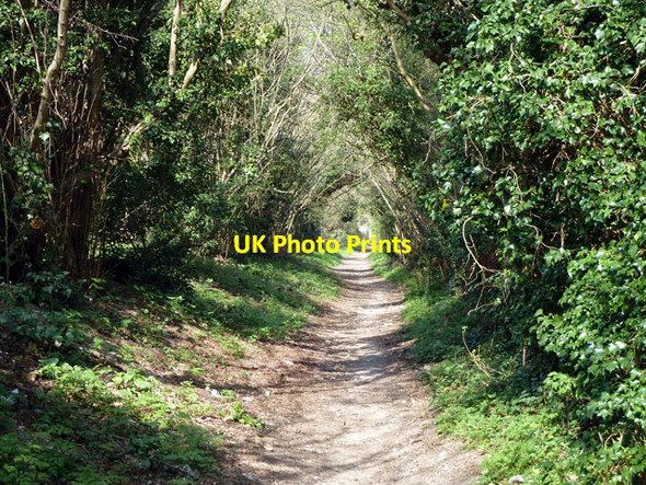 Photo 6"x4" Bridleway continuation of Grove Lane Coulsdon c2012