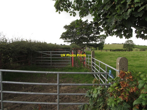 Photo 6"x4" Improvised animal pen alongside the Shore Road Strangford\/J5849 c2013
