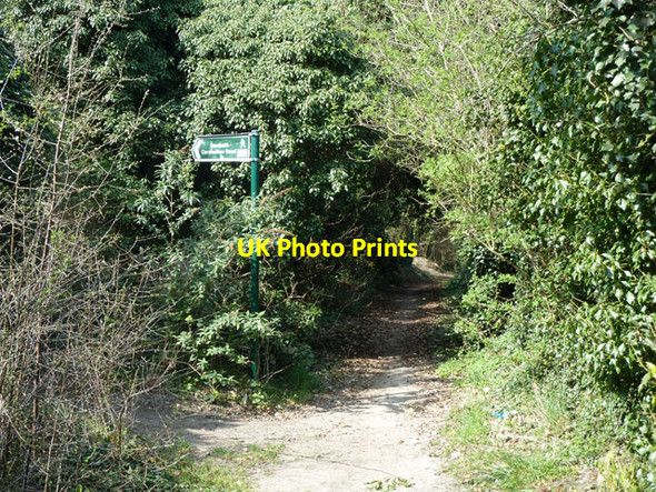 Photo 6"x4" Path junction Banstead c2012