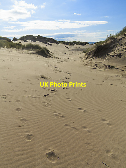 Photo 6"x4" Sand dunes at Forvie Newburgh\/NJ9925 c2014