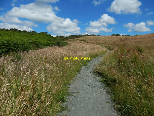 Photo 6"x4" Path to Square Wood Dumbarton c2014