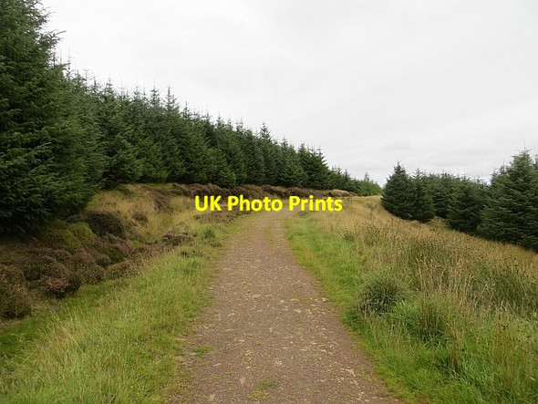 Photo 6"x4" Langton Edge track Gavinton c2013