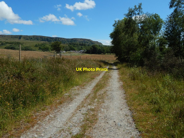 Photo 6"x4" Path beside Barr Wood Dumbarton c2014