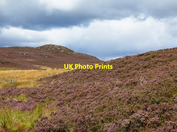 Photo 6"x4" Ben Salachill Ben Salachill c2014