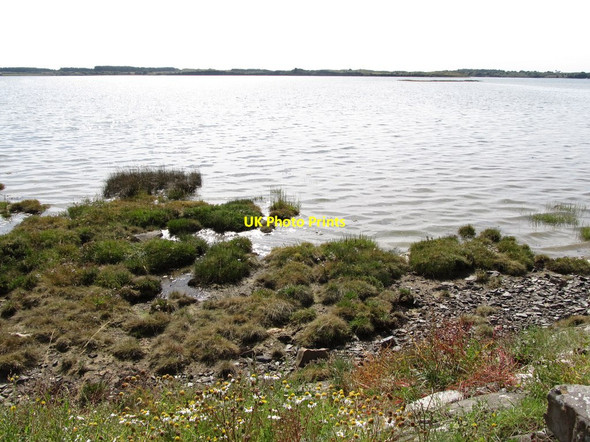 Photo 6"x4" Salt marsh at the edge of Inner Dundrum Bay Dundrum\/J4036 c2013