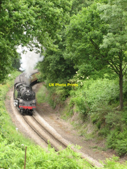 Photo 6"x4" 80135 at Beck Hole Green End\/NZ8203 c2006