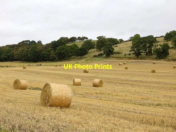 Photo 6"x4" Round bales, Monimail Monimail c2013