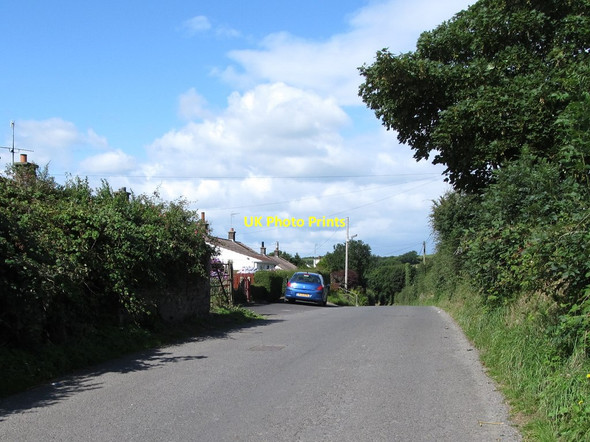 Photo 6"x4" Houses on the Ballee Road east of Molly Blayney's Corner  Bishops Court\/J5642 c2014