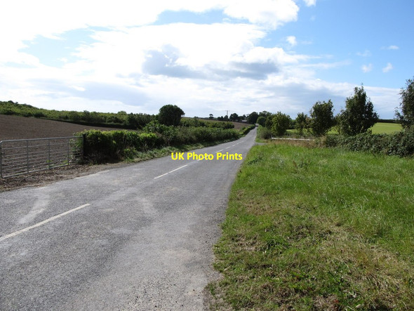 Photo 6"x4" View south along Crew Road from the Ballyhosset Road junction Bishops Court\/J5642 c2014