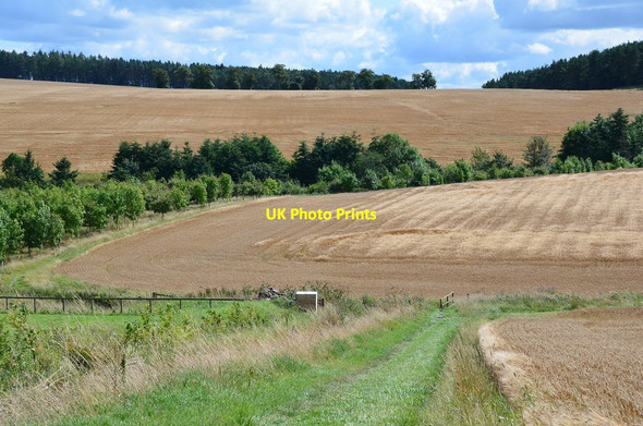 Photo 6"x4" Barley fields at Brownrigg Crailinghall c2014