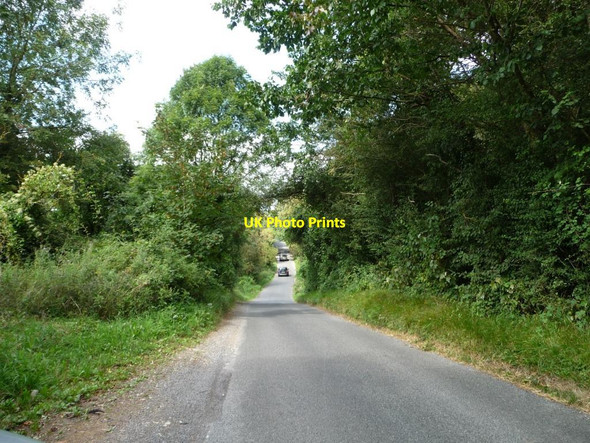 Photo 6"x4" The road to the Barringtons alongside Handpost Covert Little Barrington c2014