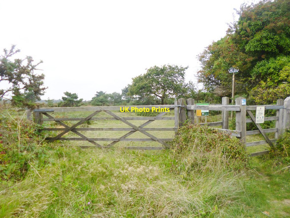 Photo 6"x4" Stoborough Heath, gates Creech Bottom c2014