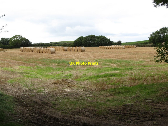 Photo 6"x4" Straw bales in harvested field south of the Ballyhosset Road Bishops Court\/J5642 c2014