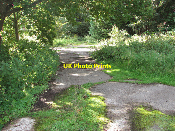 Photo 6"x4" Old concreted tracks New Rackheath c2014