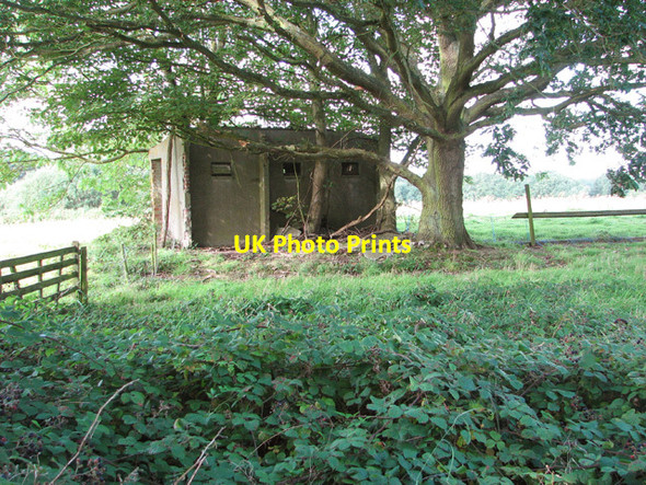 Photo 6"x4" Ruins in the wood Rackheath c2014 P1