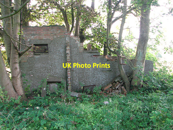 Photo 6"x4" Ruins in the wood Rackheath c2014 P2