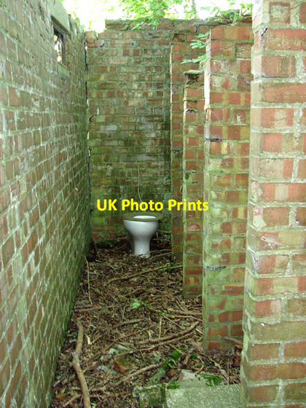 Photo 6"x4" Ruins in the wood Rackheath c2014 P3