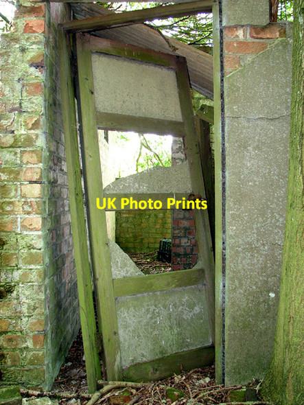 Photo 6"x4" Ruins in the wood Rackheath c2014