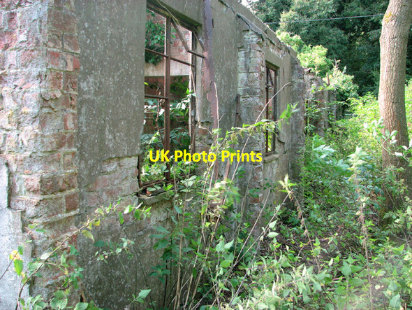 Photo 6"x4" Ruined building in the woods New Rackheath c2014