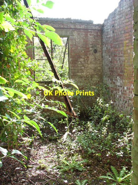 Photo 6"x4" Ruined building in the woods New Rackheath c2014 P3