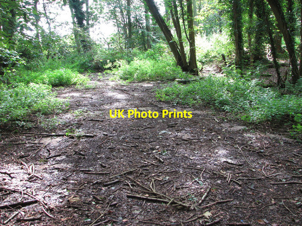 Photo 6"x4" Concrete hut base in Heath Wood New Rackheath c2014