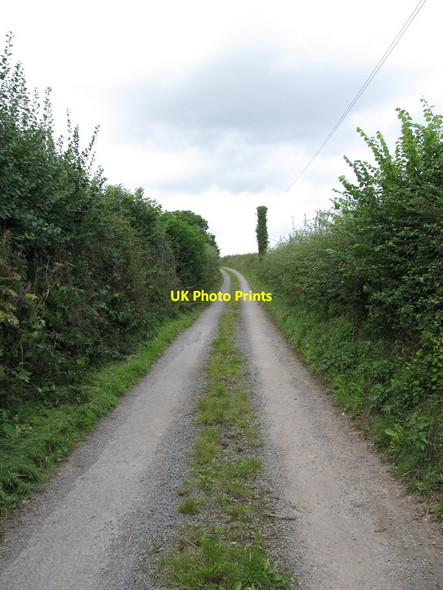 Photo 6"x4" View NW along Ballysallagh Road Bishops Court\/J5642 c2014