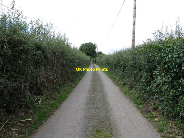 Photo 6"x4" View south along Ballysallagh Road in the direction of Church Ballee Bishops Court\/J5642 c2014