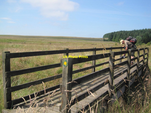 Photo 6"x4" Footbridge over Tipalt Burn Sweet Sike c2014