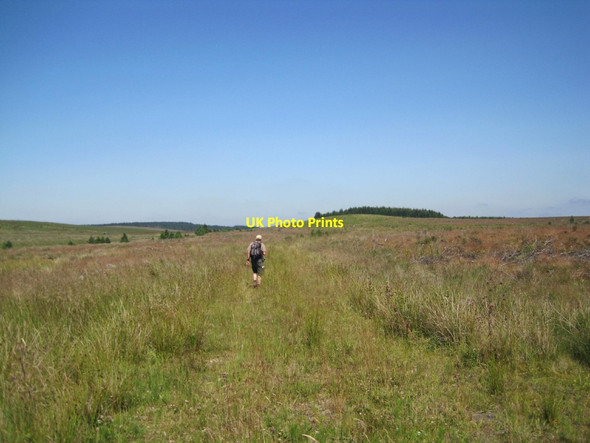 Photo 6"x4" Start of Forest Track near Michael Sike Linen Sike c2014