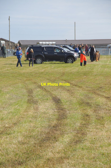 Photo 6"x4" Tracks in the field at the Unst Show, Haroldswick Bothen c2014
