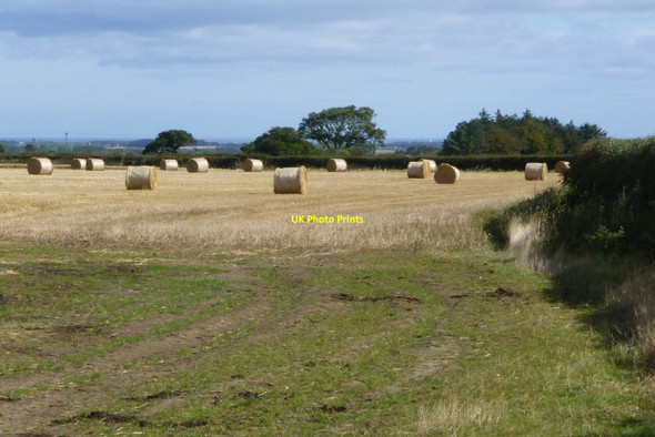 Photo 6"x4" Cylindrical straw bales  Causey Park Bridge c2014