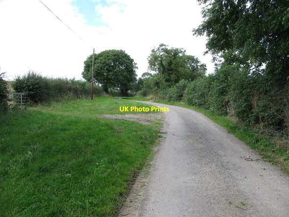 Photo 6"x4" View north-westwards along Ballysallagh Road Bishops Court\/J5642 c2014